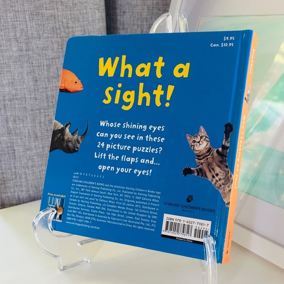 Who's Looking At You? Stephane Frattini Lift-the-Flap Picture Book - Picture 11 of 11